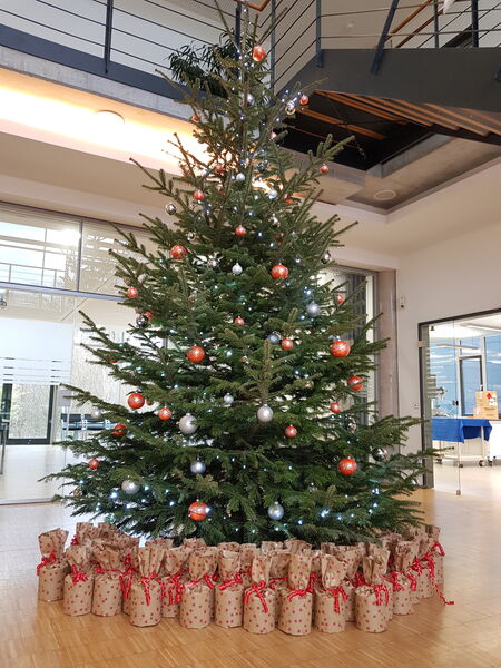 Weihnachtszeit bei QUBUS und IFO