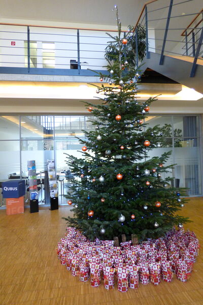 Tradition zur Weihnachtszeit bei QUBUS und IFO