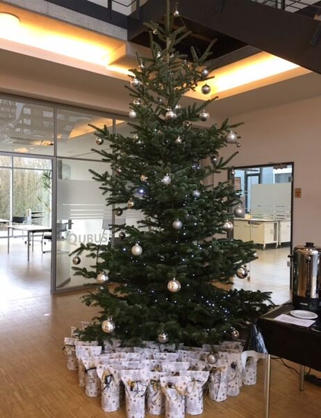 VORWEIHNACHTLICHE TRADITION BEI QUBUS UND IFO