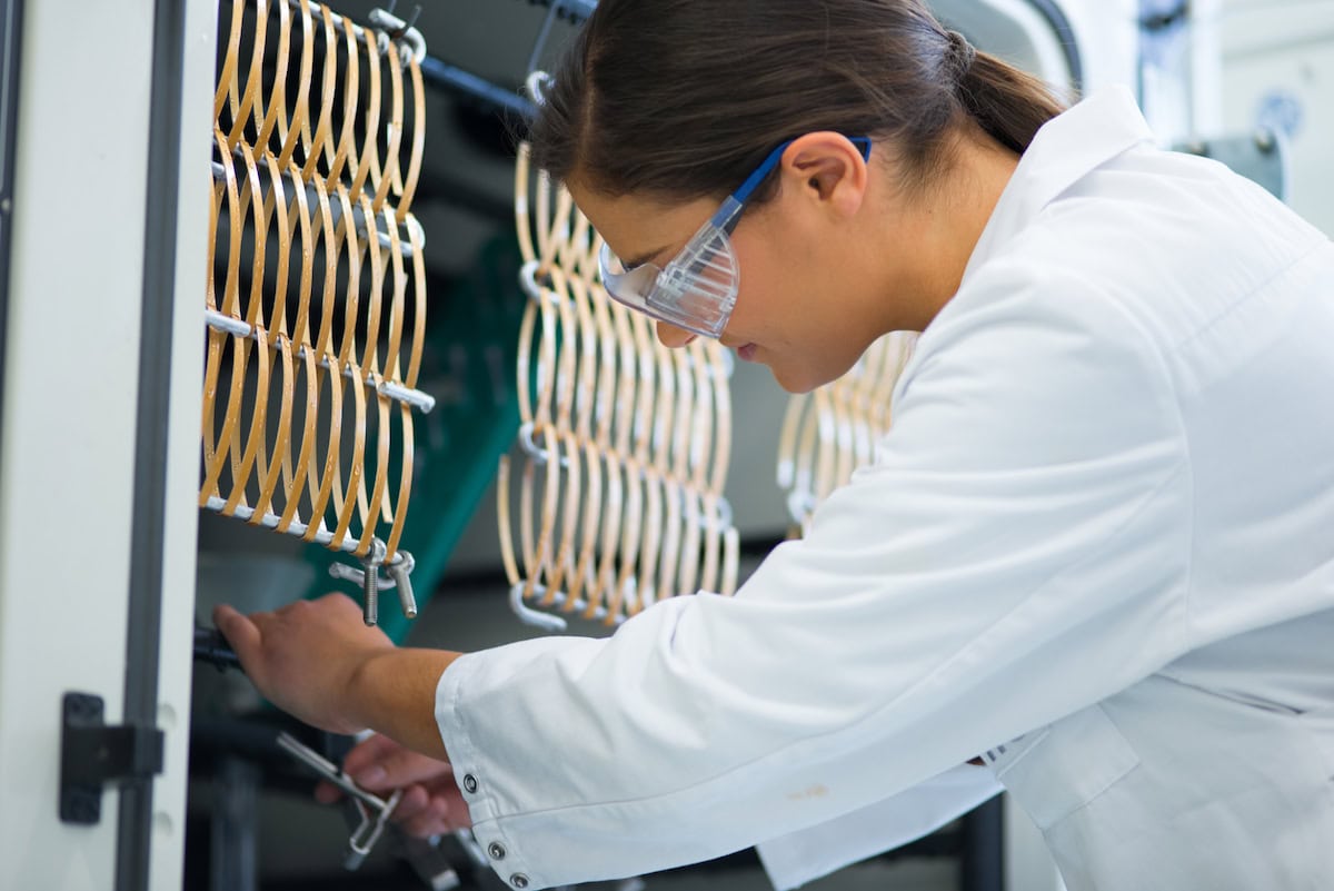 Laborantin bestückt eine Prüfkammer mit Prüfkörpern